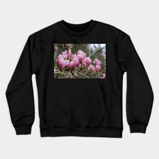 Spring Pink Crewneck Sweatshirt